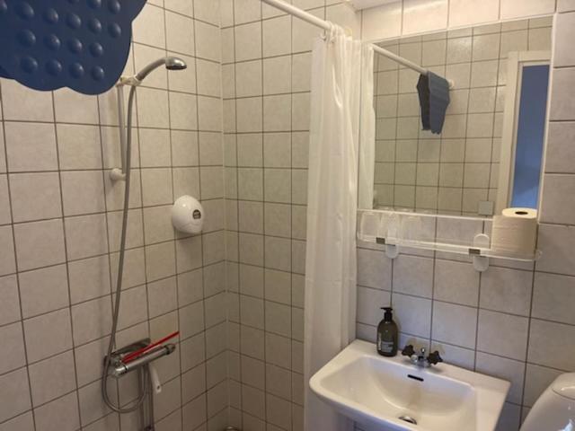 Dentas Hotell Raivi Hoting Buitenkant foto
